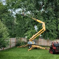 Best Tree Risk Assessment  in South Tucson, AZ